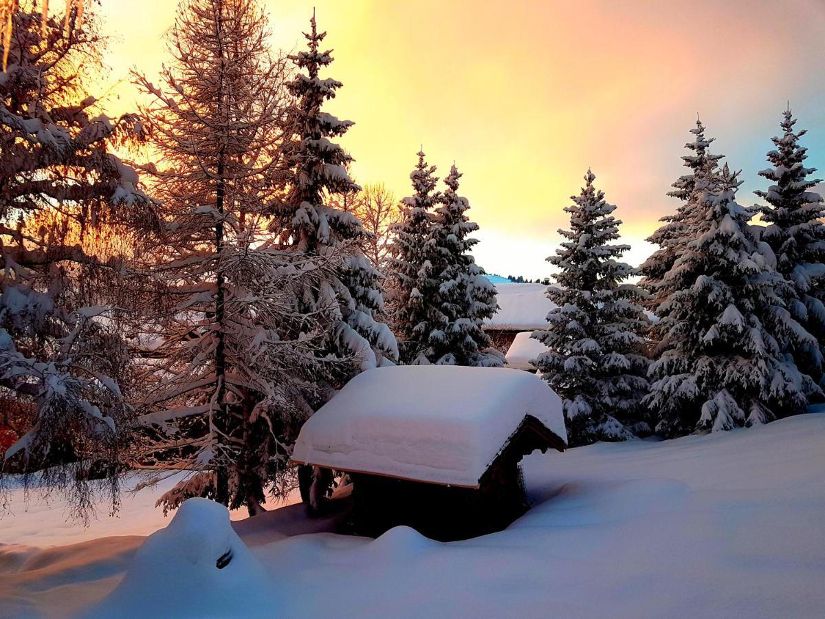 Appartement Cosy Aux Saisies N1 เลเซซี ภายนอก รูปภาพ